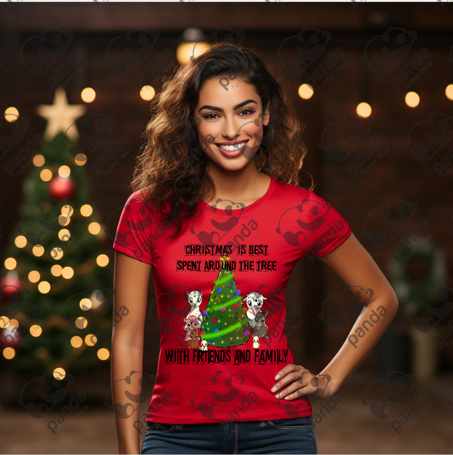 Christmas is best spent around the tree with friends and family