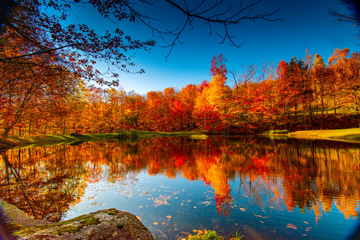 Autumn