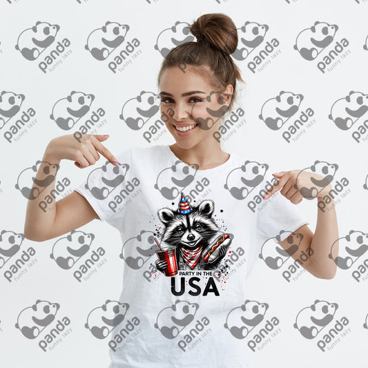 Party in the U.S.A. 3