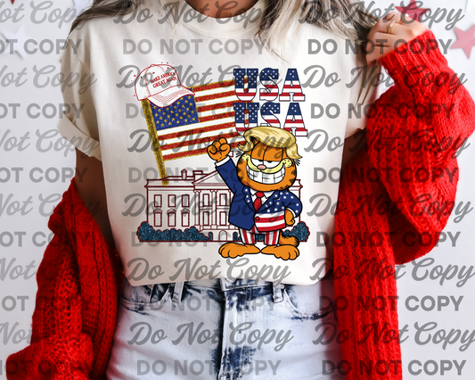 USA USA (cartoon cat)