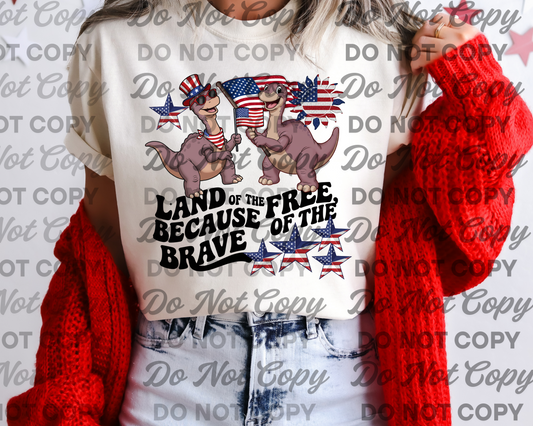 Land of the free because of the brave