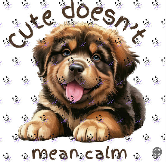 Cute doesn’t mean calm