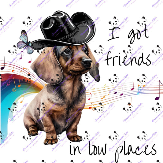 I got friends in low places